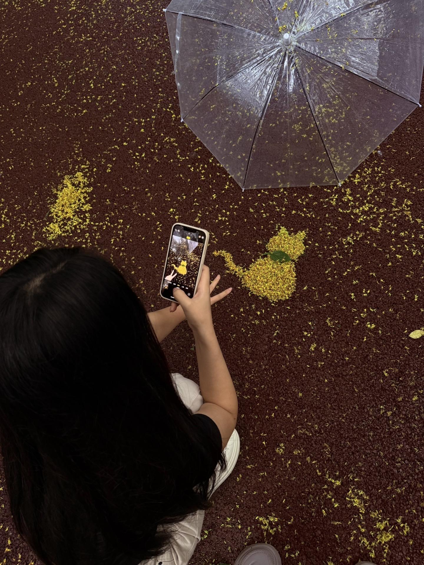 几度秋意浓 最是桂花香