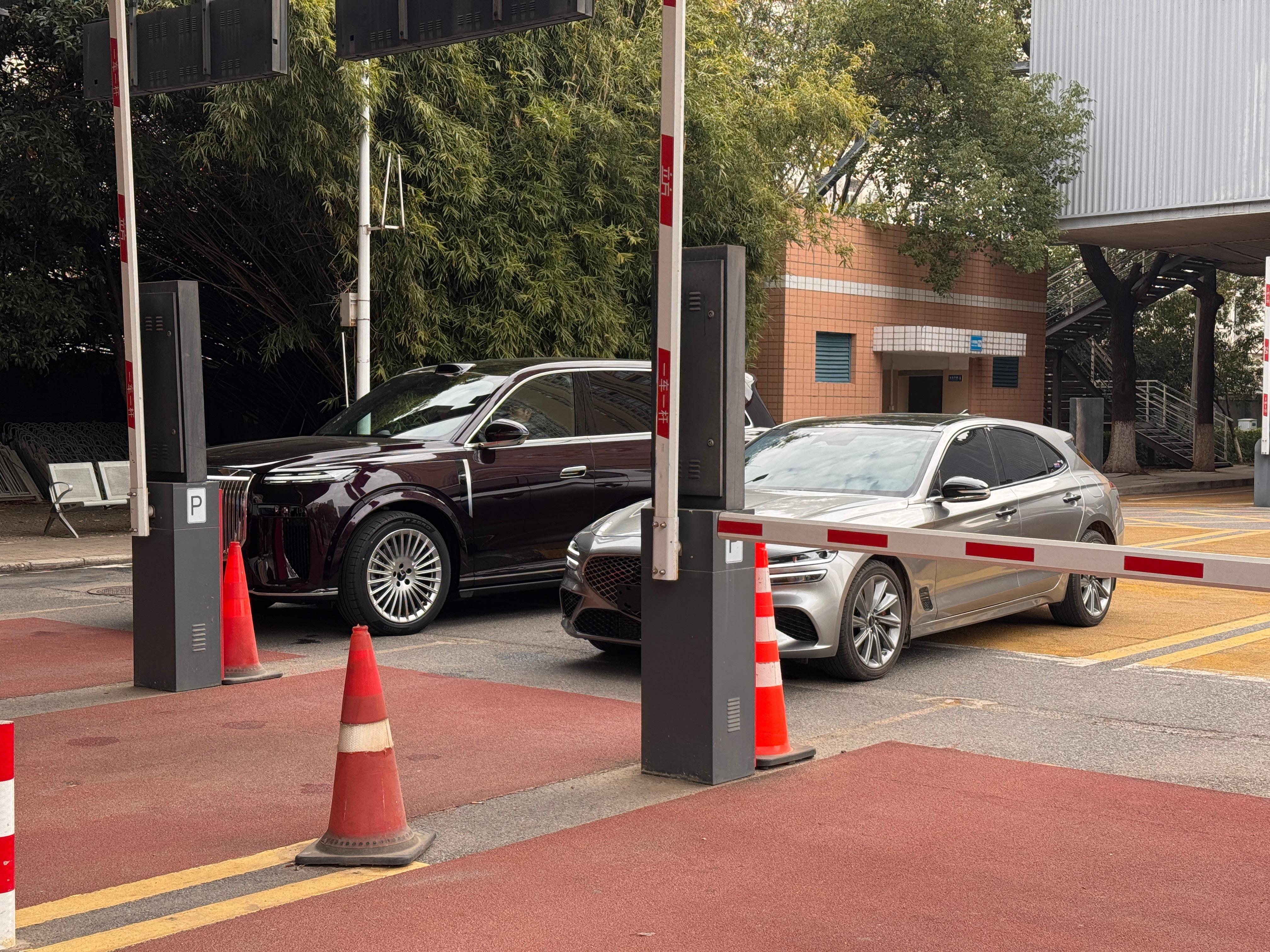 旁边那个车倒是稀罕 岚图泰山 武汉·武汉市公安局交通管理局车辆管理所