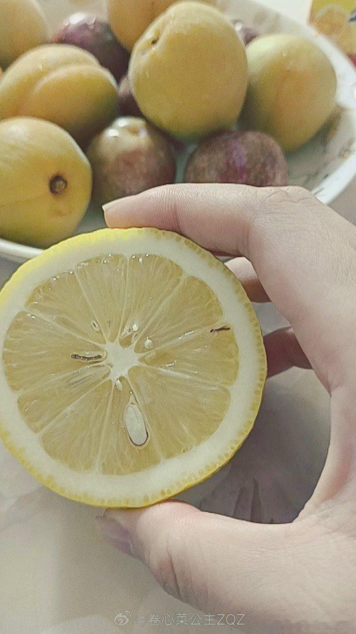 [春游家族] ​​​