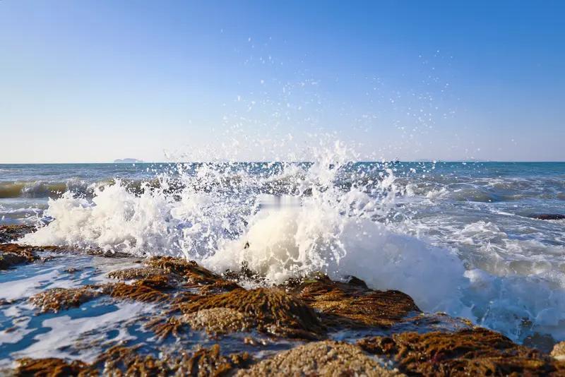 在你们家乡，“炫耀”用方言怎么说张扬