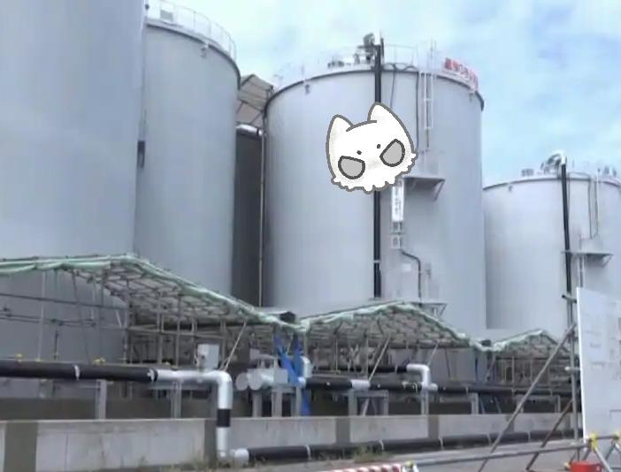 日本囤积47吨钚材料引国际警觉！

日本目前囤积的钚材料已达47吨，按照专家分析