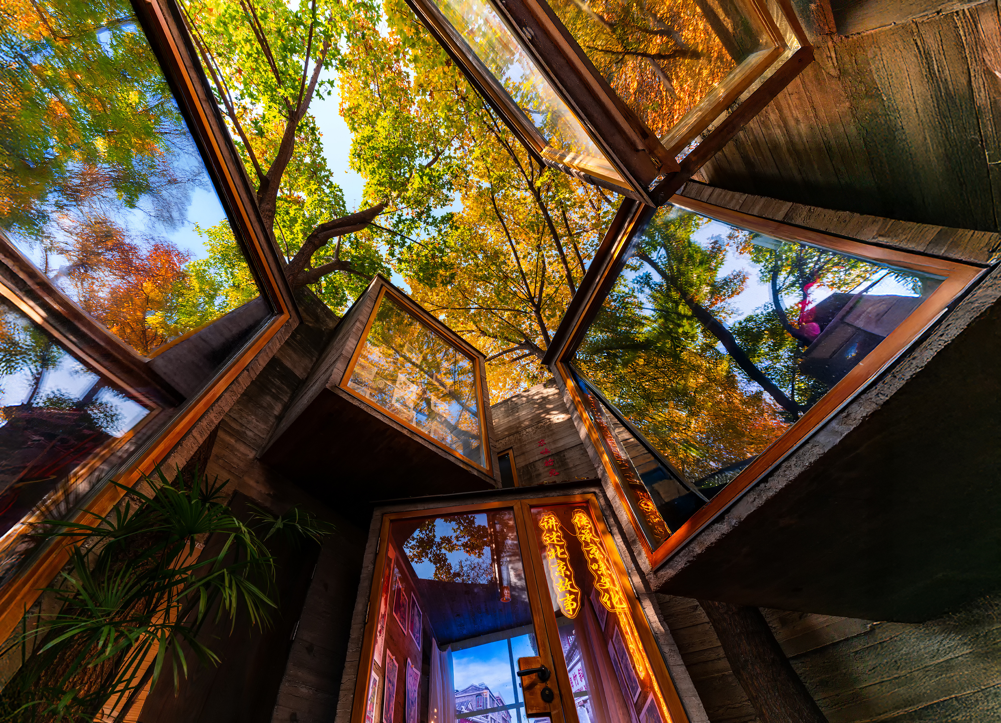 原来北京醉人的秋色，藏在这方独特天地。错落天窗框住蓝天与秋叶，树影在玻璃上摇曳金