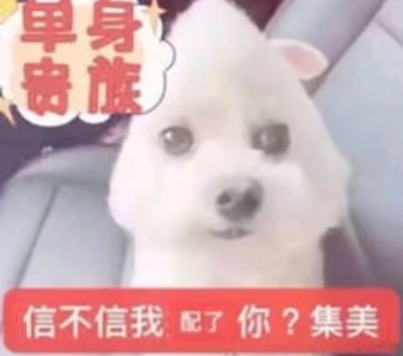 心情如图 审美唧唧 