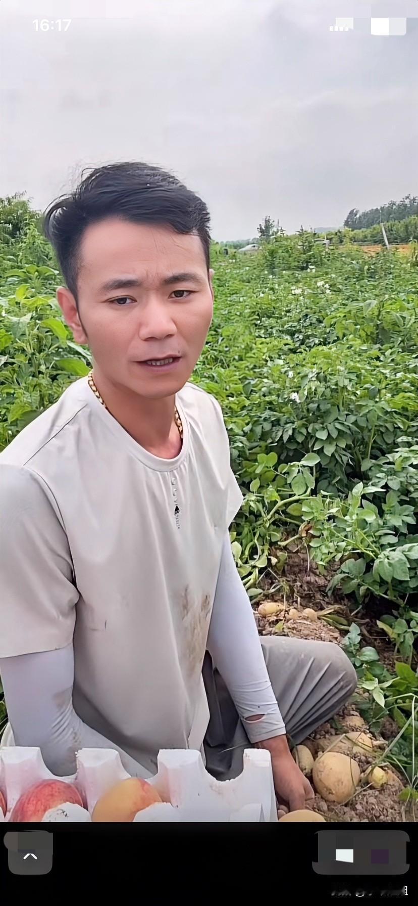 厉怀远一身疲惫，在土豆地里直播，有些黑粉又对他直播中还带着金项链，不摘下来，就不