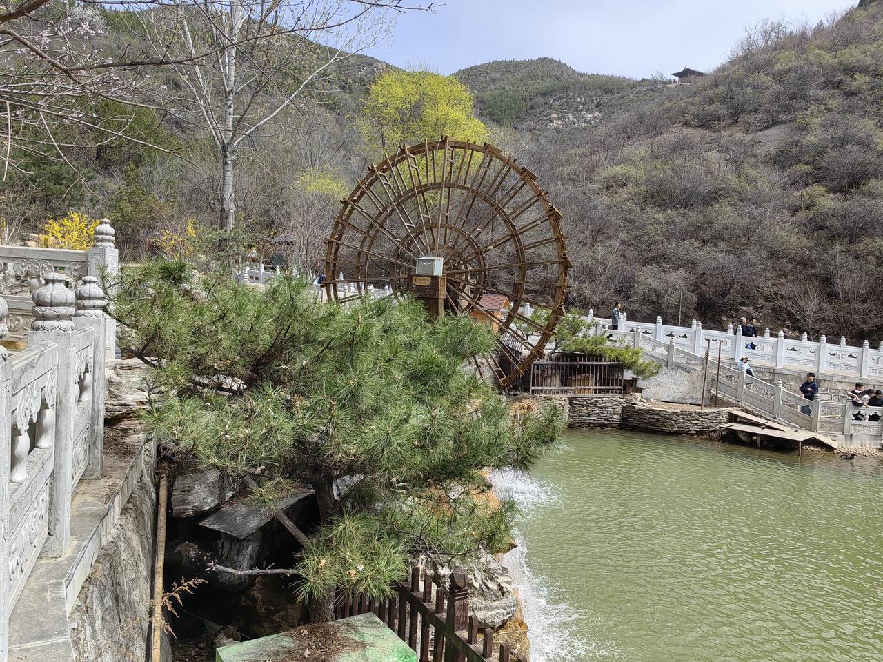 春日景色随手拍