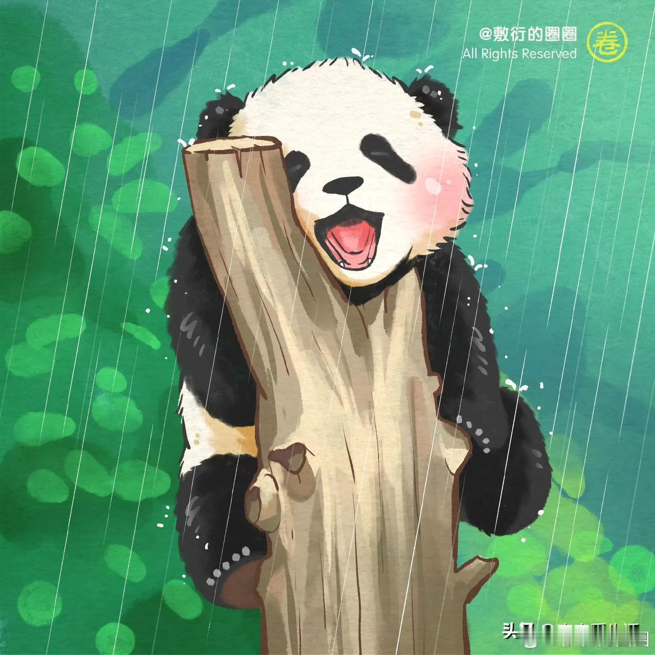 贤贤崽一岁多了，同一天出生的大贤贤随着妈妈在野外分餐露宿。

所以啊，这个世界上