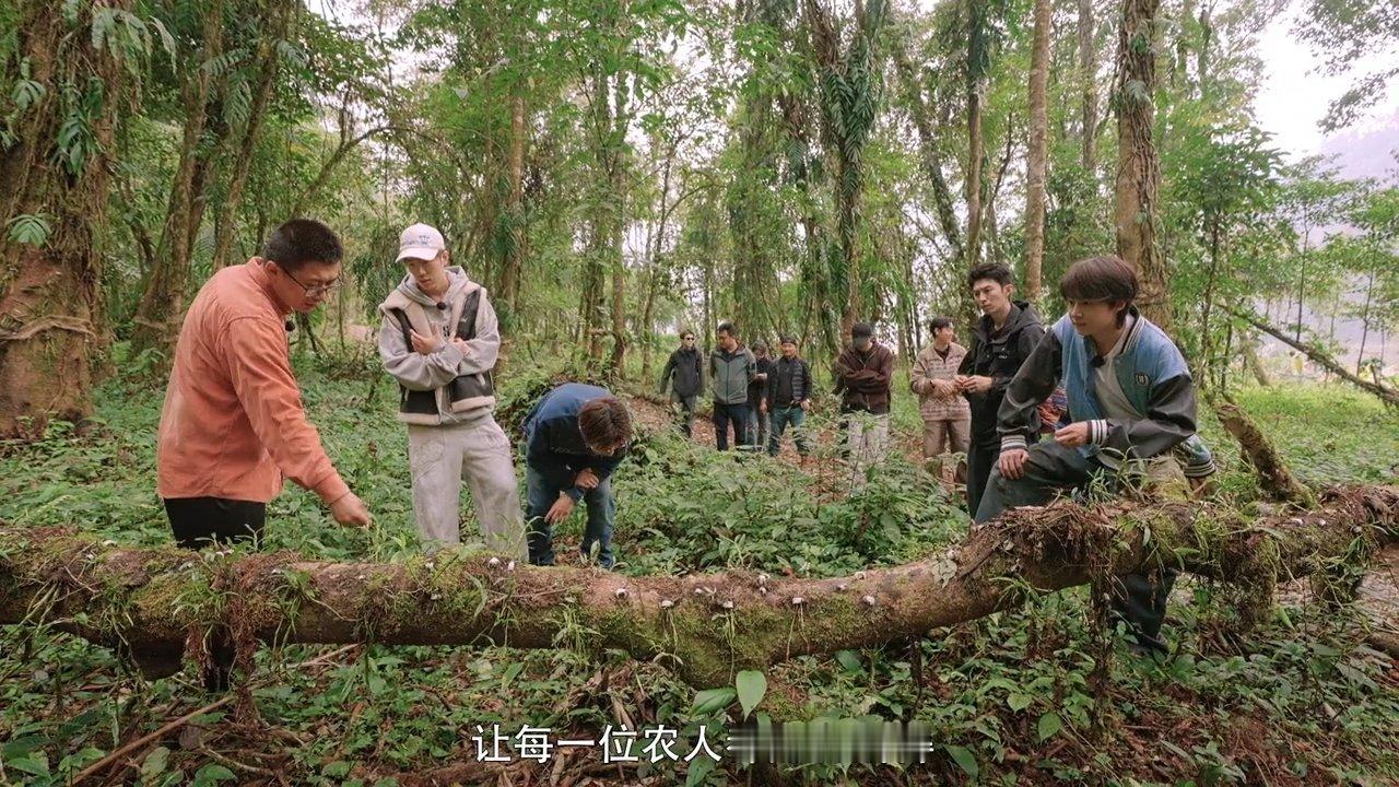 种地吧4新剧透来了在农民红毯蹲到了种地吧4新剧透种地是一件很潮是很酷的事！杨导这