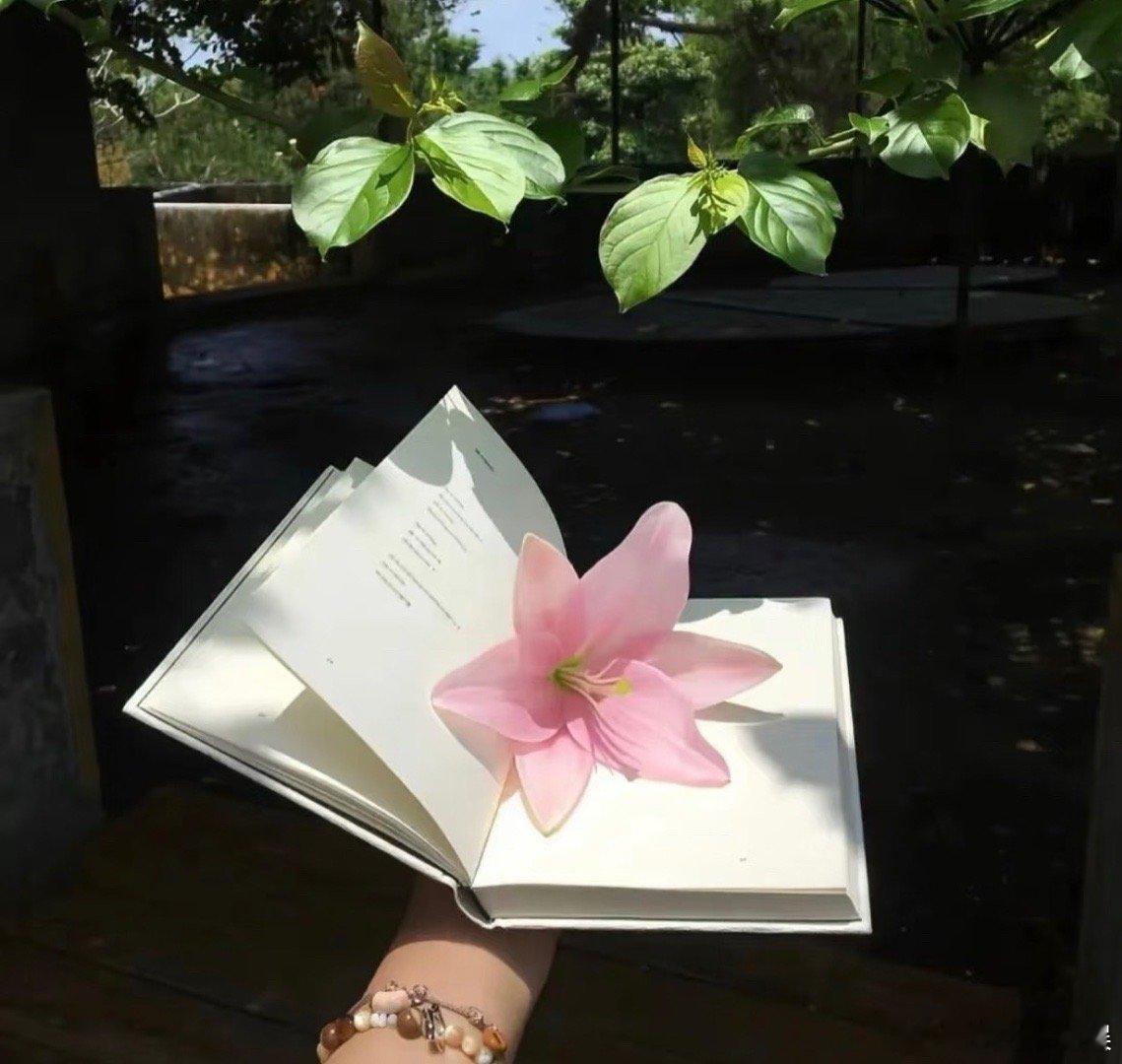 “与万事言和，与独处相安，自行，自醒，自清欢。”每日一善[超话]阳光信用 每日一