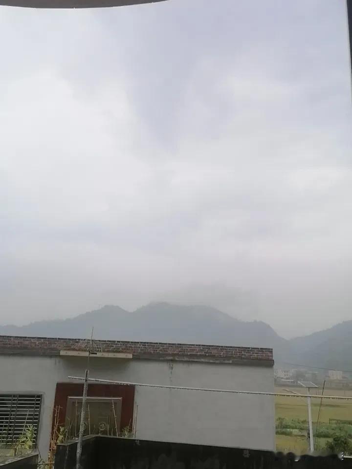 昨晚至今下雨了，下了一阵又一阵，久旱逢甘霖，真是及时雨，淋菜水不用愁了！