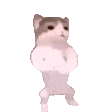 #猫meme凭什么爆红成顶流# 我太喜欢meme猫猫表情包了 ​​​