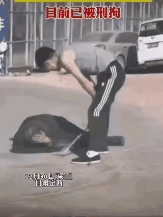天杀的，畜生都不如。他活着还有什么意义？