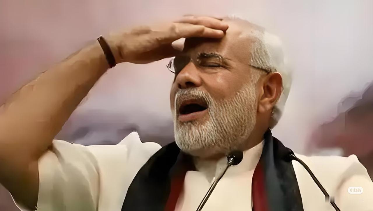 快报 快报
印度阿三 加价60%当“二道贩子”
转卖从中国进口的120吨稀土，中