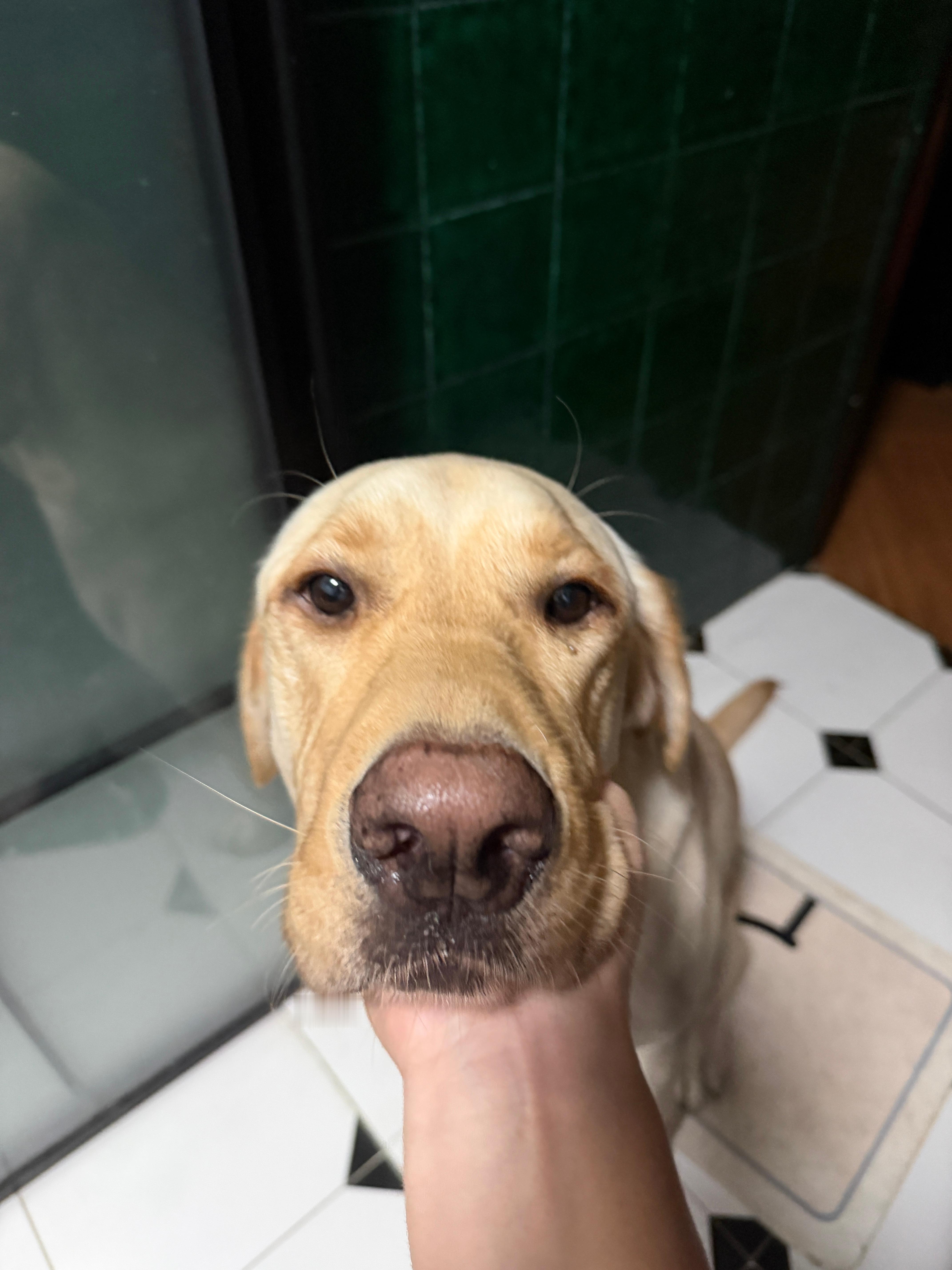 早又见凌晨四点的广州贼困，不过还好不用自己开车[doge]今儿打飞的，去林芝吸氧