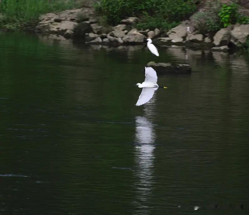 看到“一溪碧水浮鸥鹭”，这意境一下子就把我带到了宁静的溪边。上联里，“一溪”点明