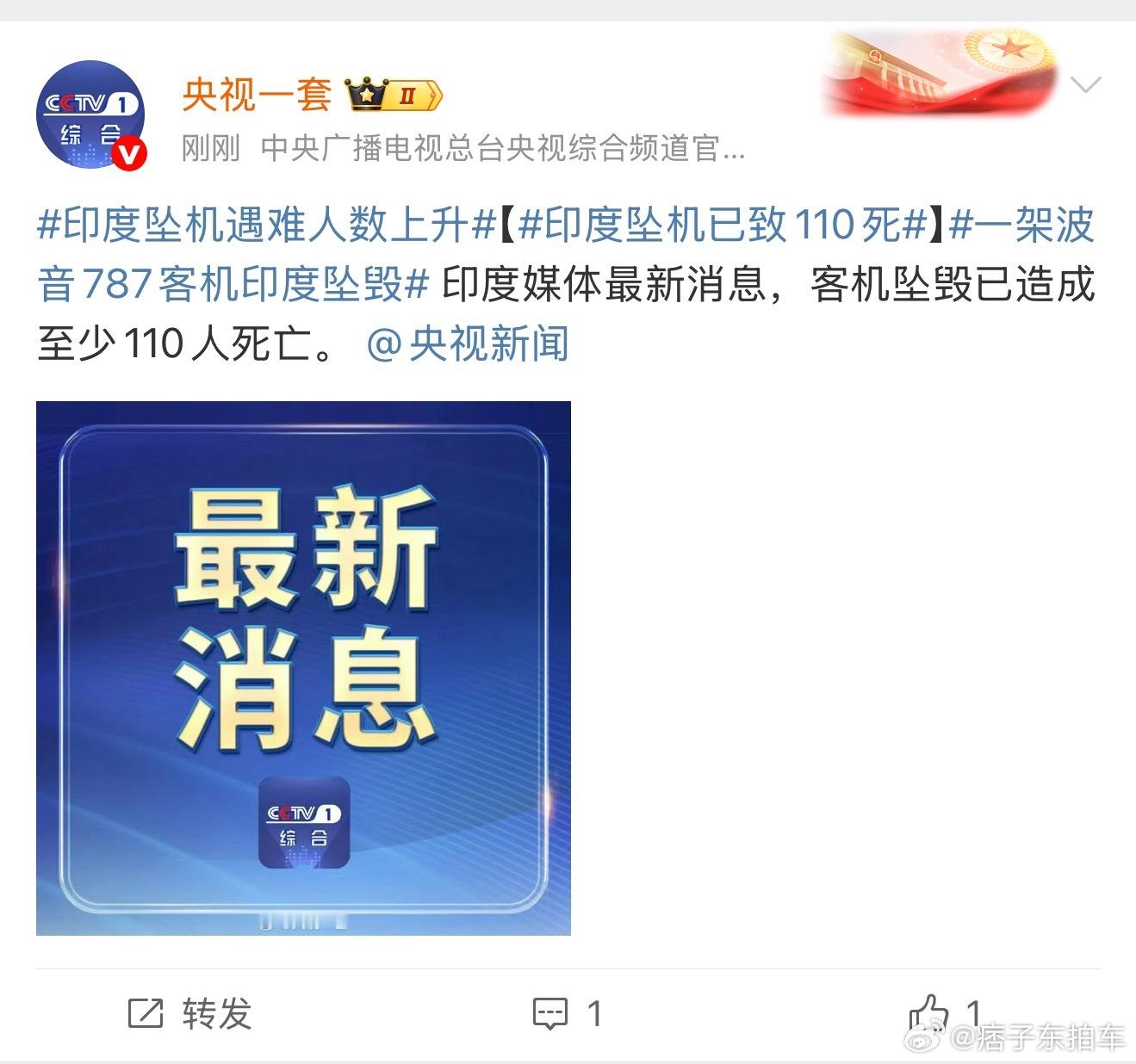印度坠机已致110死一架飞机在印度坠毁 这个110死的意思是被事故波及的地面人员