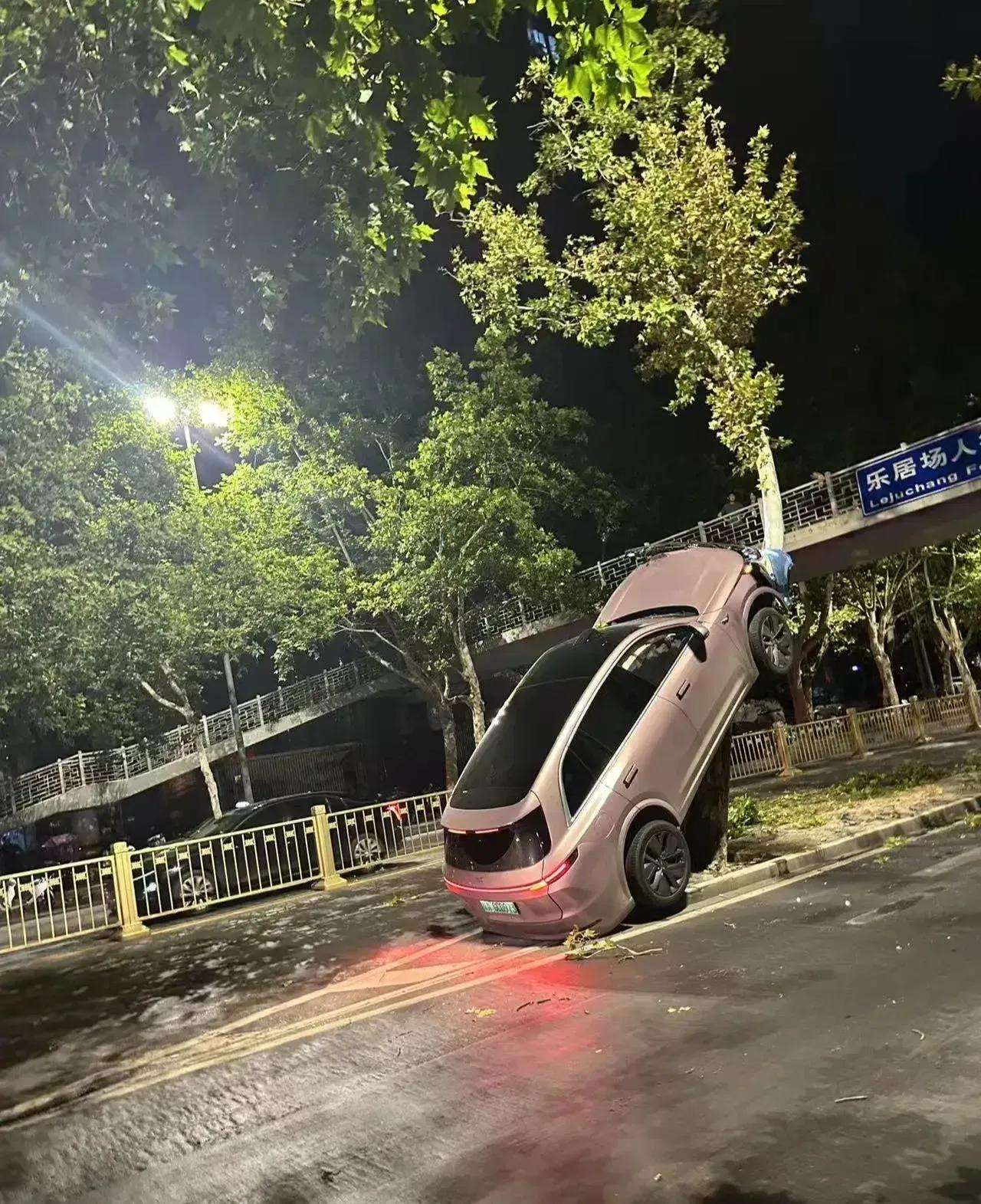 汽车能上树，这是功能真的强大呀。