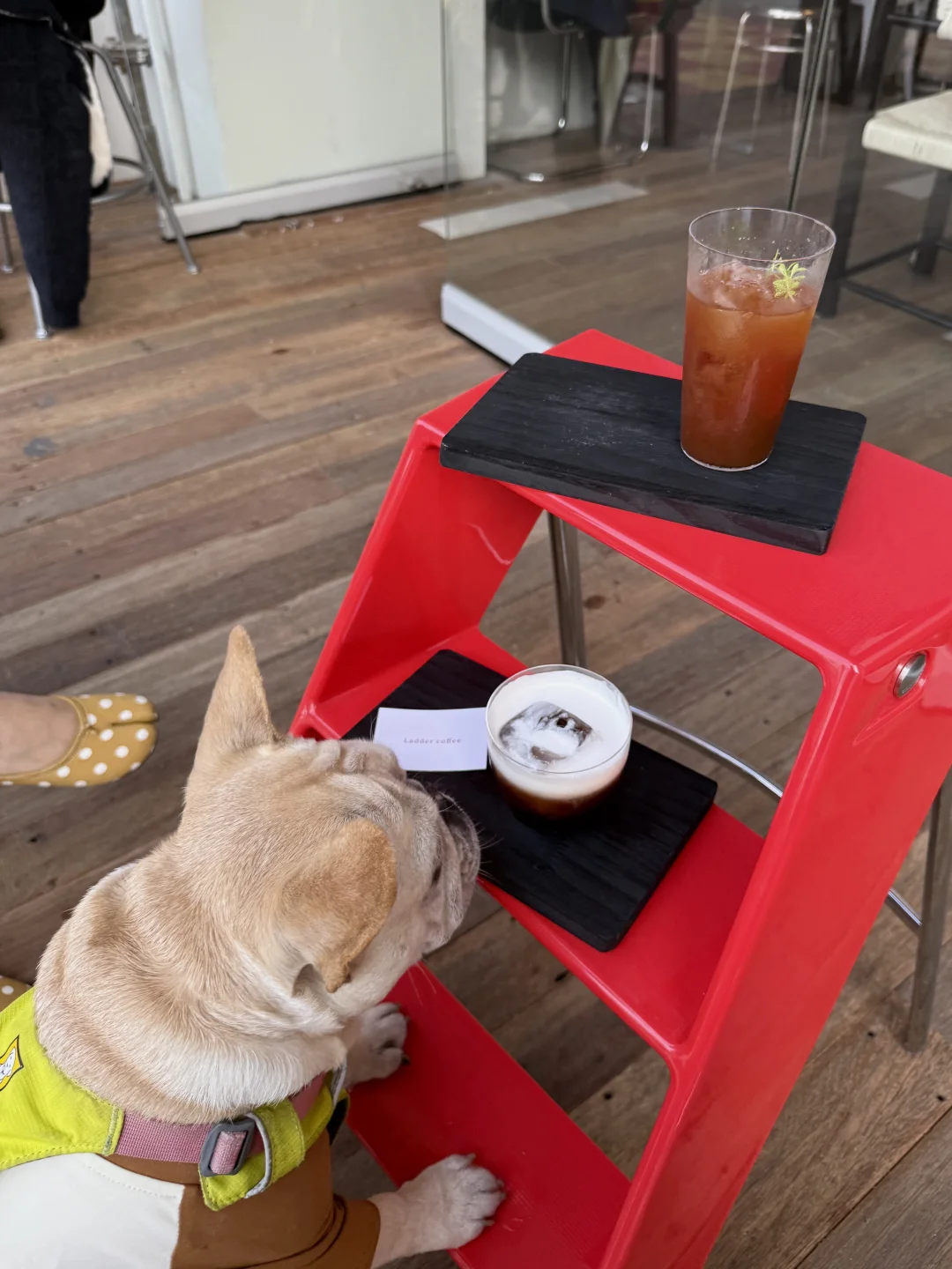 我看看 有我份没有