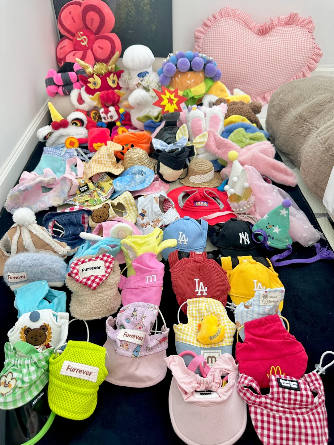 小狗能有多少帽子呐🎩