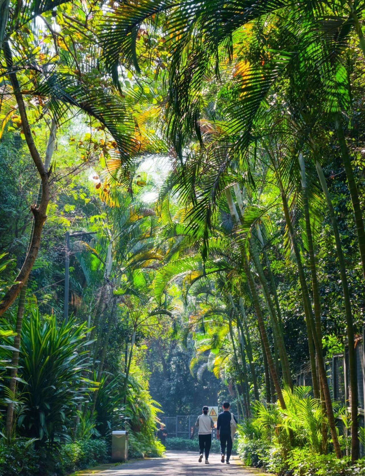 一个同事看似小病却难以治愈，中年人生活无规律，不锻炼身体是罪魁祸首。
     