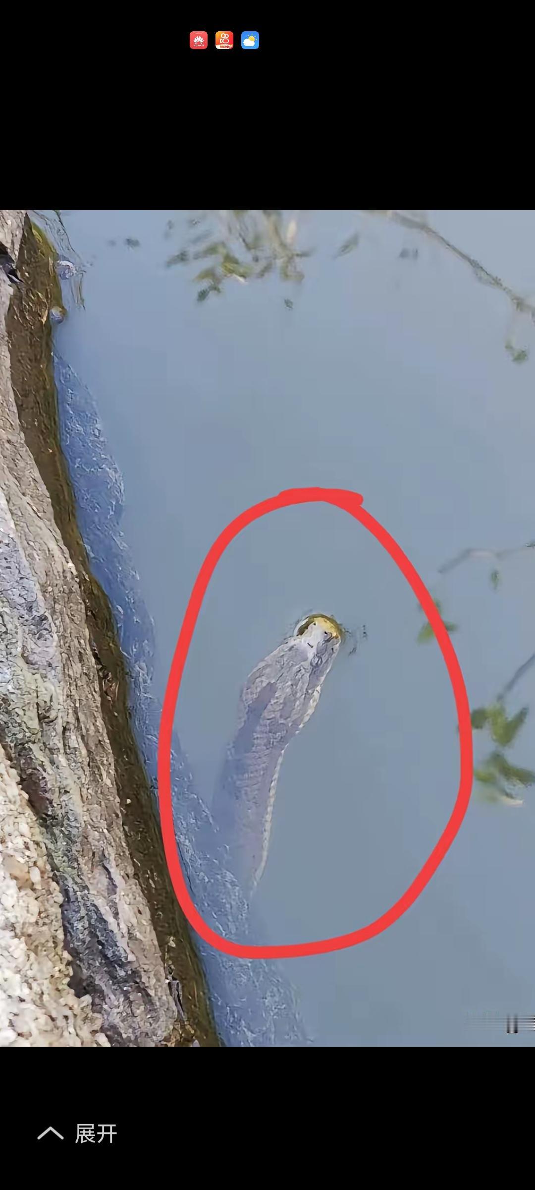 听说，吃黄鳝可以壮阳，延年益寿。