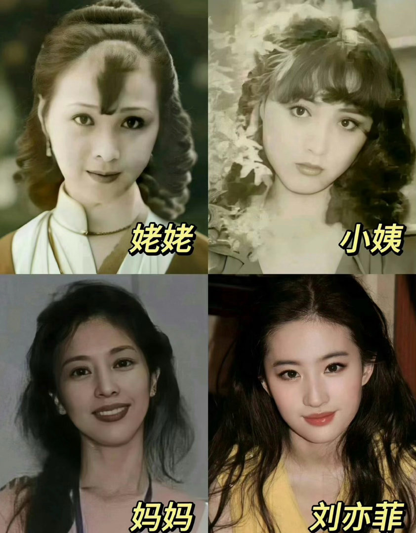 刘亦菲妈妈年轻时的颜值放现在都是顶流级别了 
