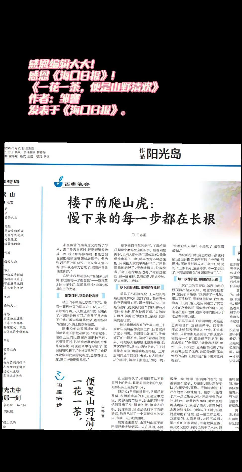 感恩编辑大大！感恩《海口日报》！《一花一茶，便是山野清欢》作者：邹謇发表于《海口