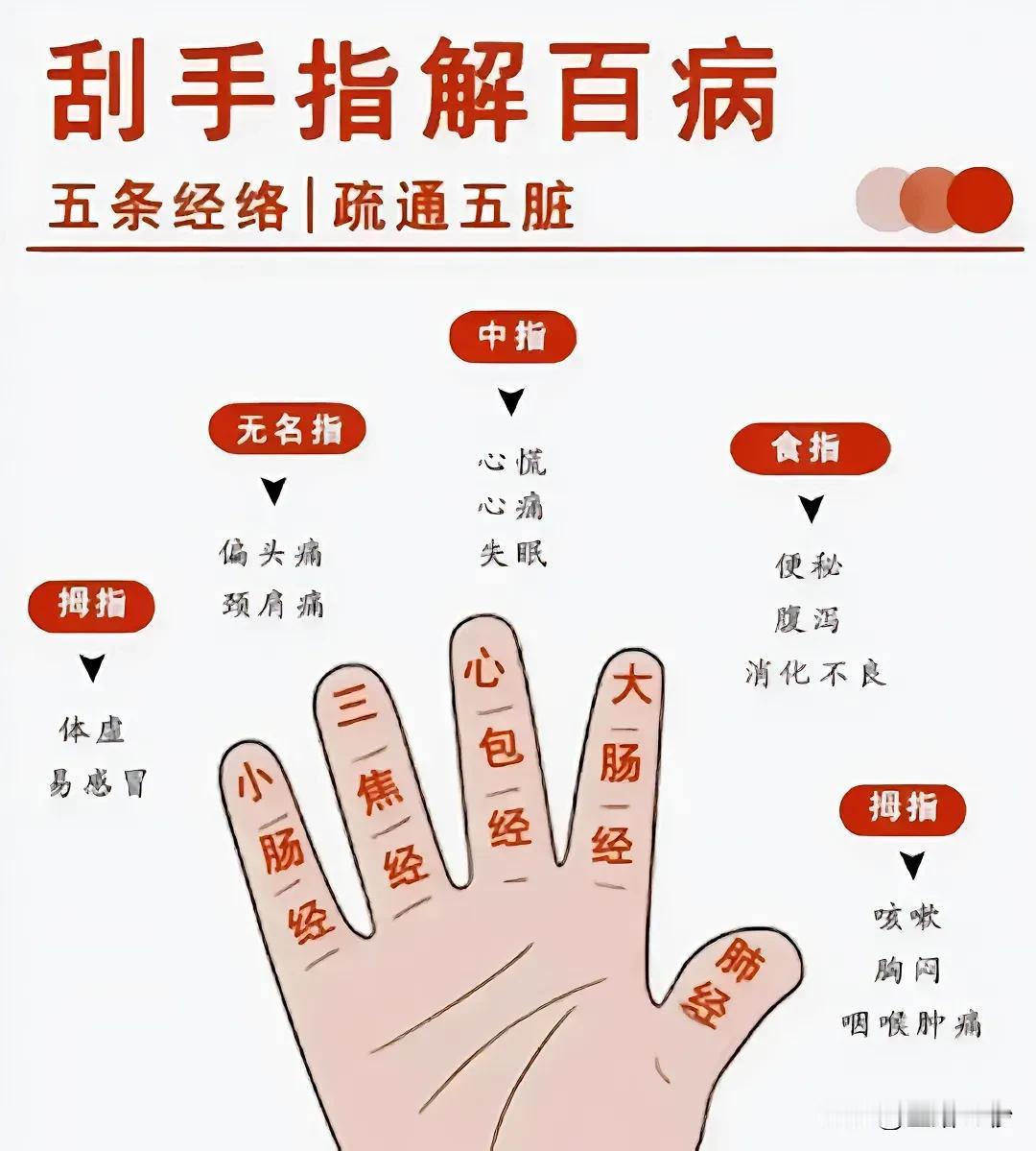 刮手指解百病：五条经络疏通五脏，健康从指尖开始

您是否曾感到心慌、心痛、失眠的
