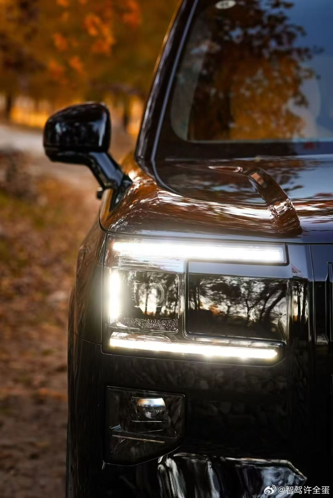 看灯猜车[doge] ​​​