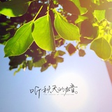 猴蛋侃侃科技