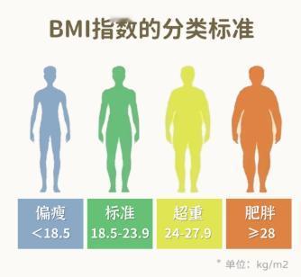 减重瓶颈期的专业指南
减肥过程中，很多人会遇到瓶颈期，明明前期有效果，后期却出现