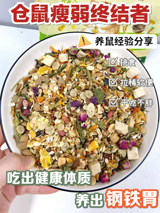 养鼠经验分享！挑食瘦弱鼠子终结者