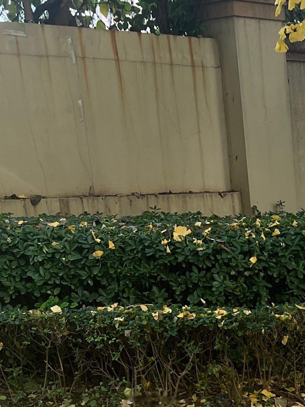 所有的热情都在等待和失望中消失。 