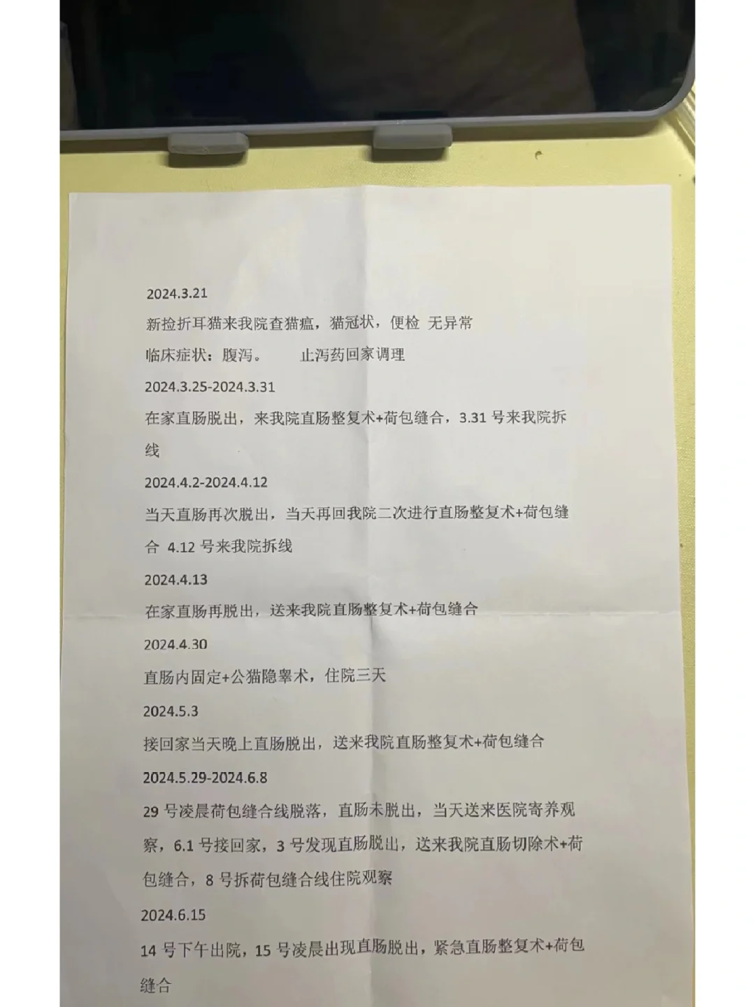 看着宠主做的记录和说的话，我陷入了沉思……