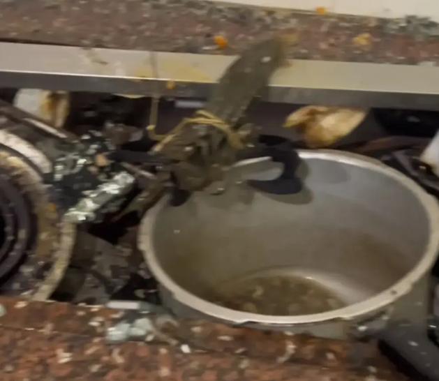 “我妈吓得魂魄都要没了！昨天下班回家，刚开门就闻到一股刺鼻的气味，我还以为是煤气