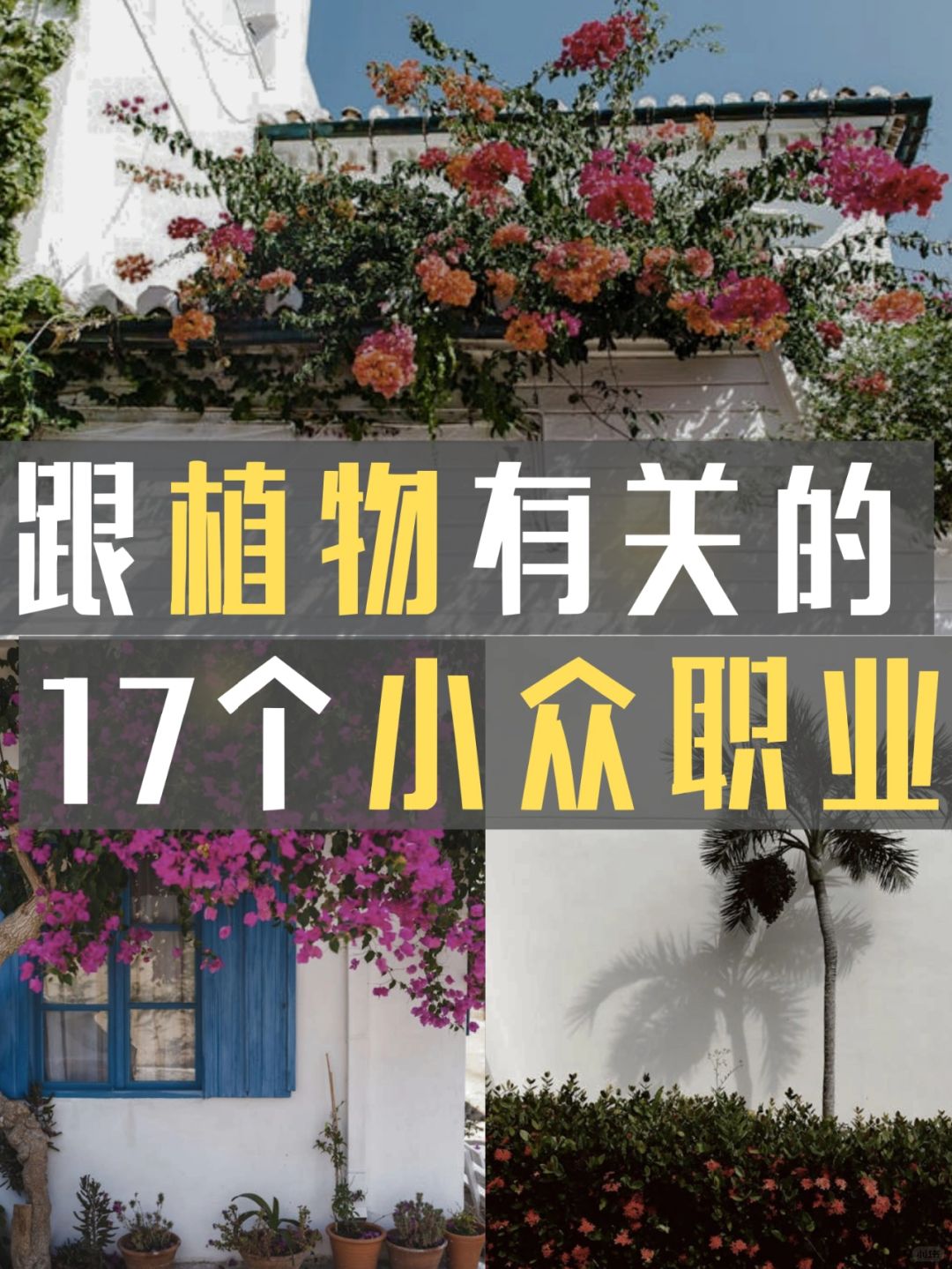 跟植物有关的，17个小众职业