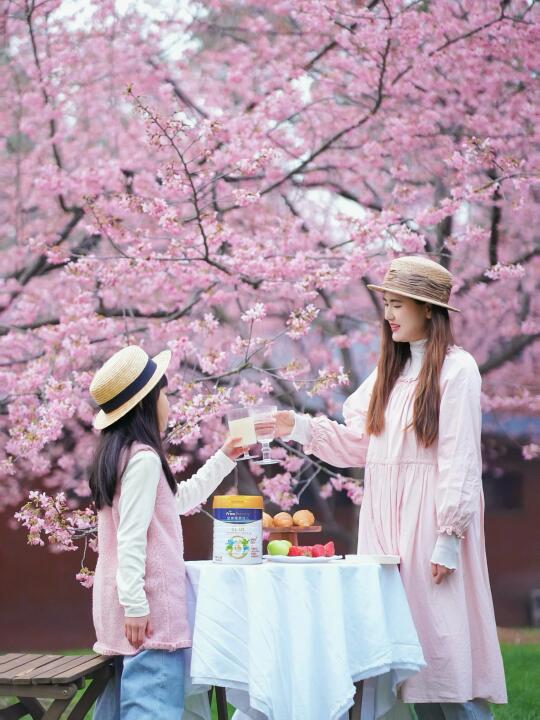 樱花树下和女儿的野餐🌸是春天的幸福时刻