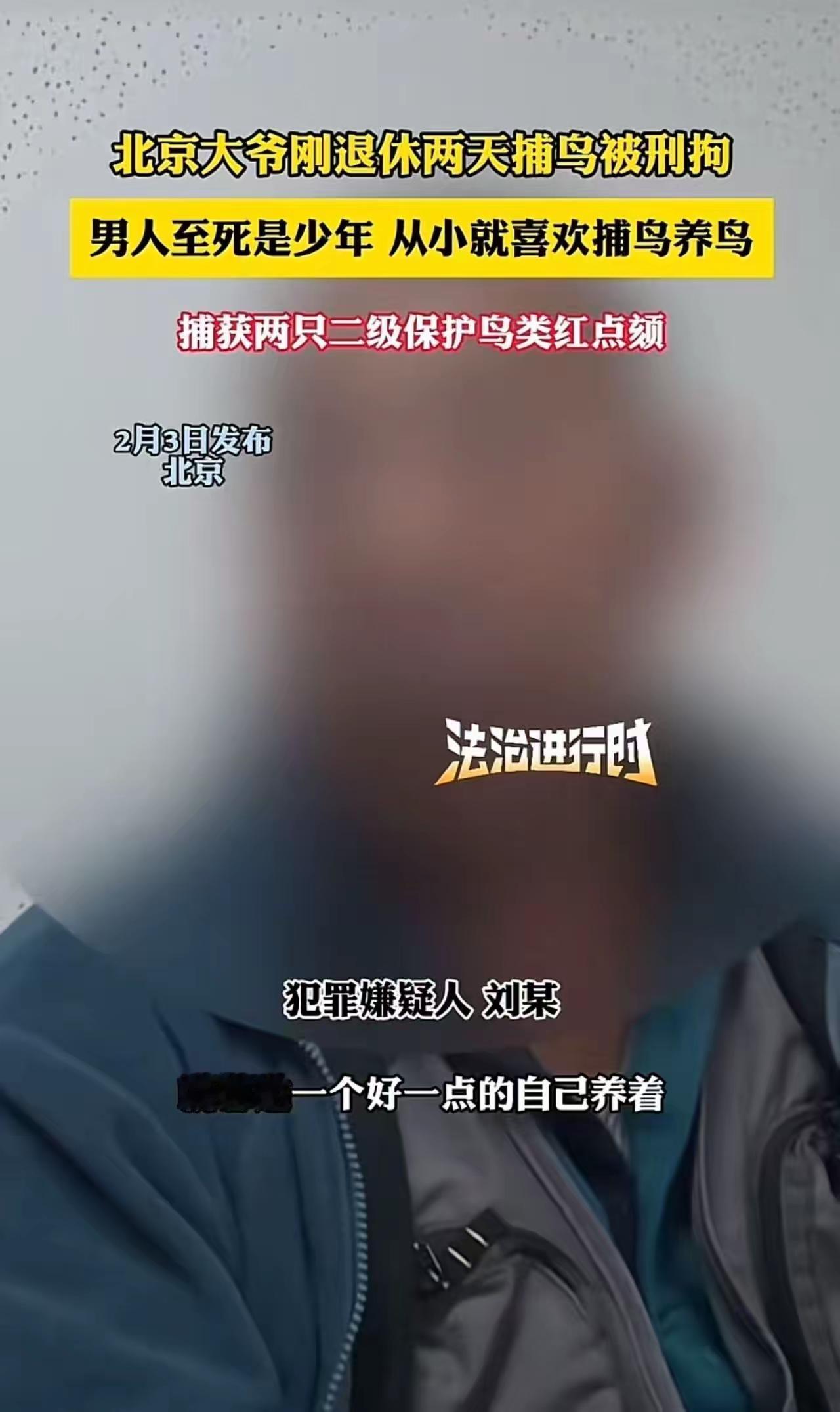 北京大爷退休两天捕鸟被刑拘：法治时代，无知不是免罚牌

“刚领到退休证，就领到了