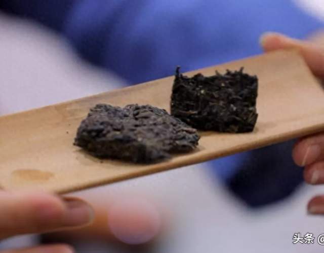 黑茶煮不好等于白喝！掌握四个技巧，暖胃刮油一壶搞定