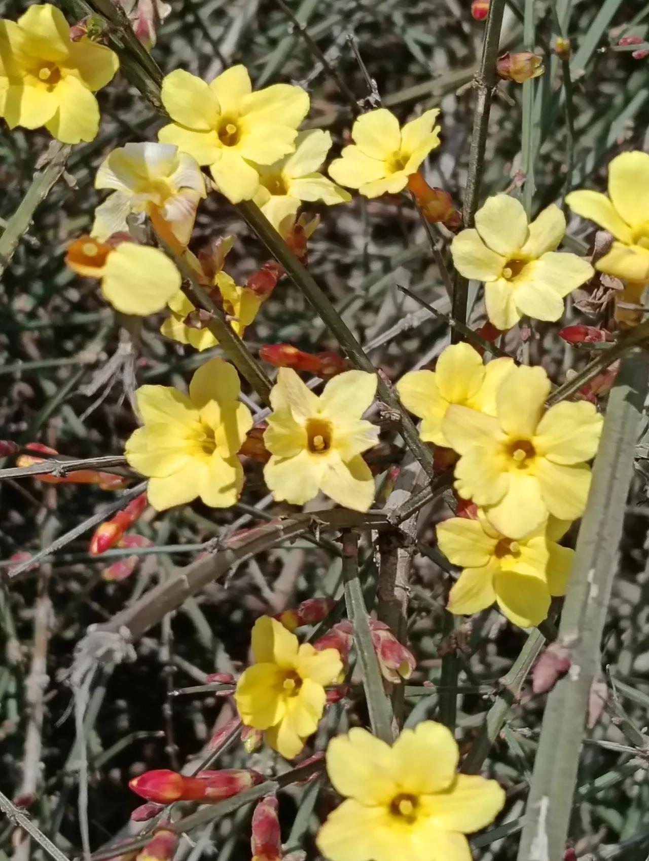 爱，要看得见

海底浪花

1

夫妻难免发生磕磕碰碰，有时候无所谓谁对谁错，也