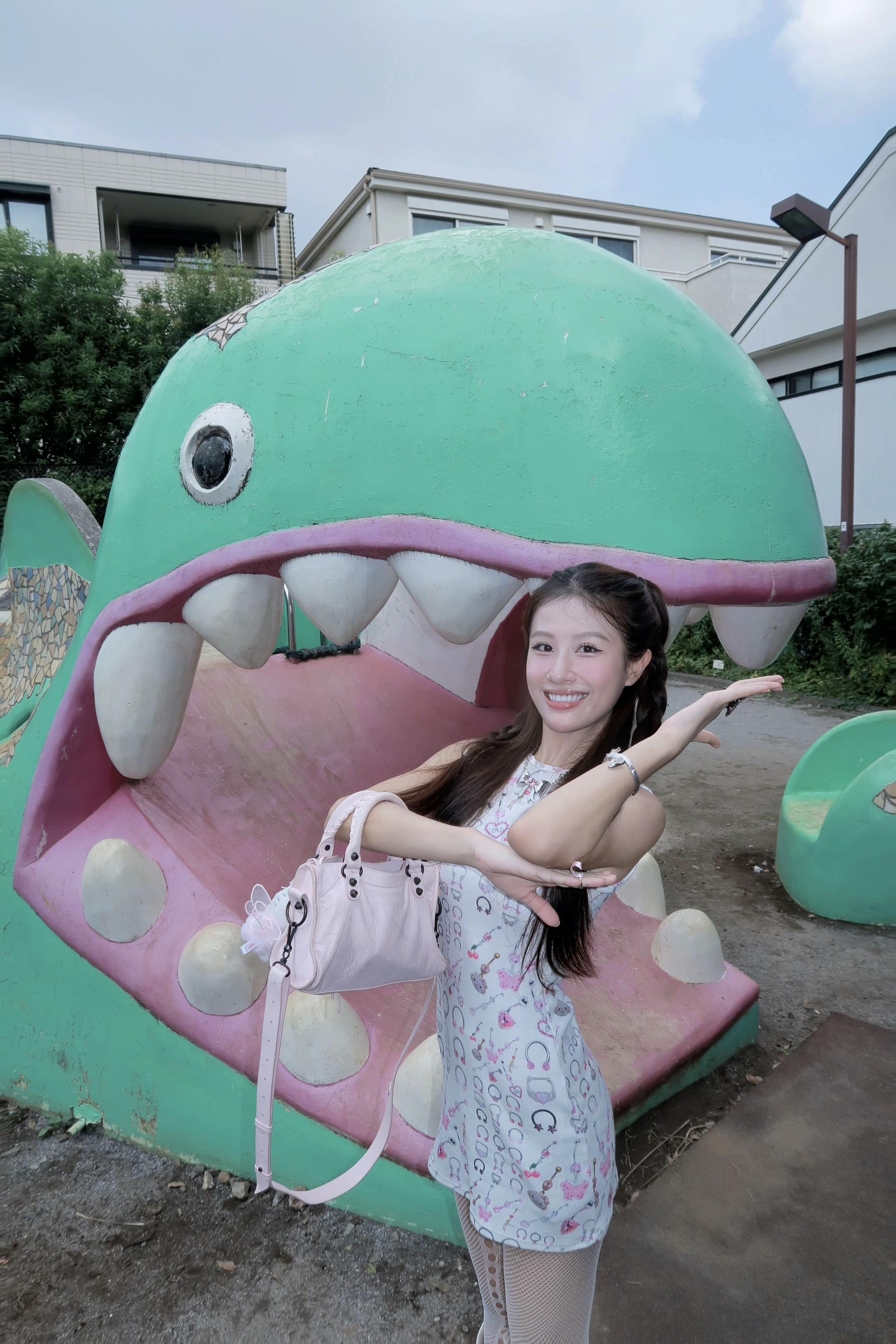 报告！有恐龙入侵🦖。