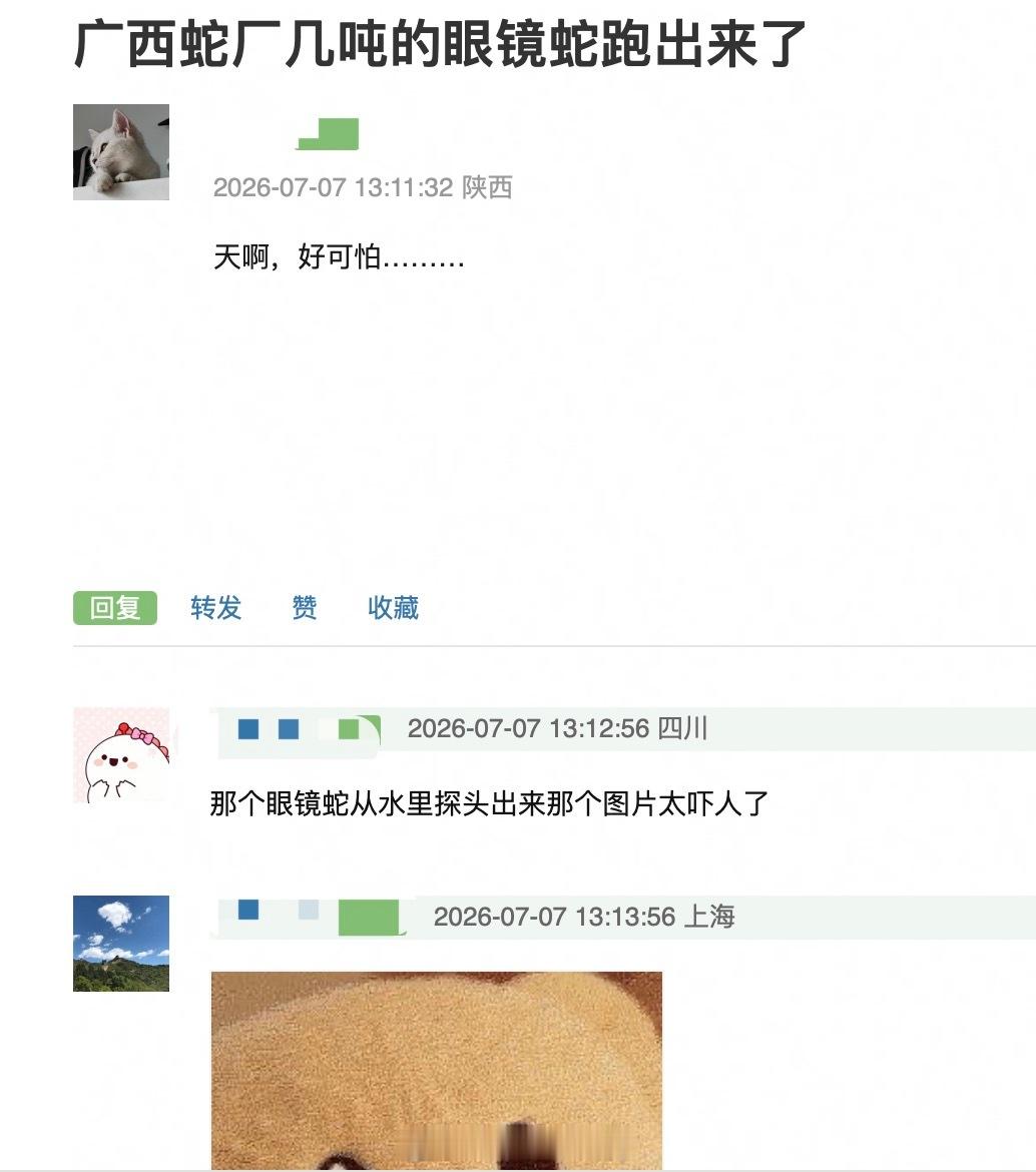 啊啊啊好吓人 