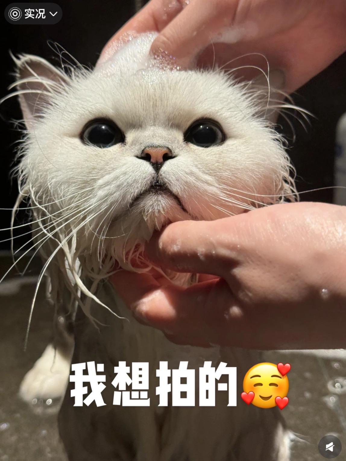 帅哥