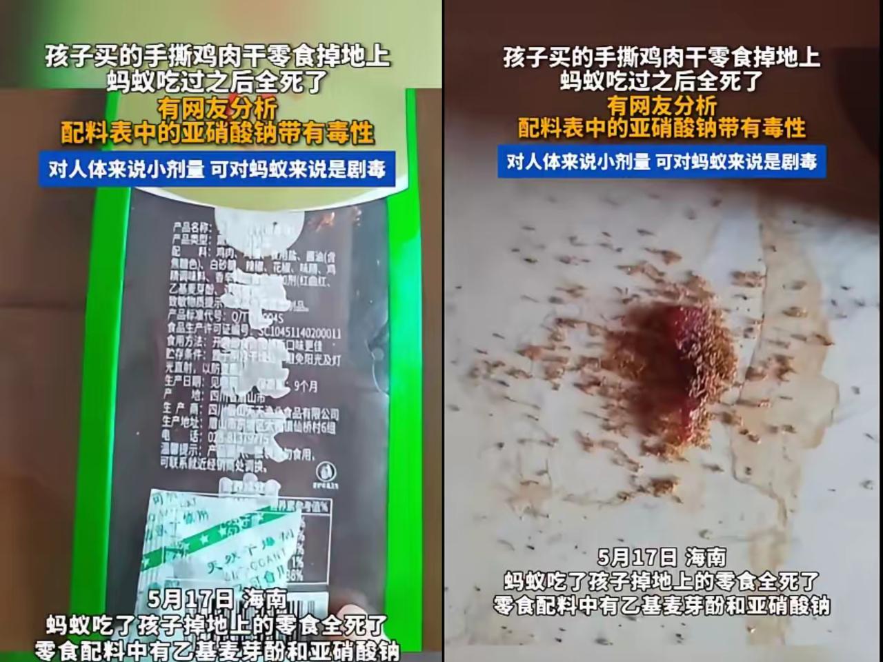 海南宝妈的经历直接吓懵全网！孩子掉地上的手撕肉干引蚂蚁进食，结果十几只蚂蚁当场暴