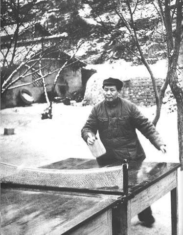 这个板，
真方正，
一看就很难用。

日式直板，便于中远台发力打弧旋球，教员站位