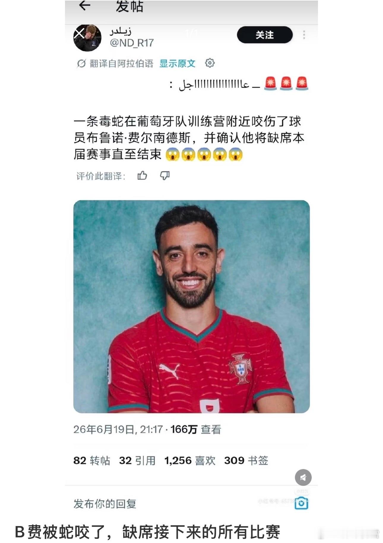 大v观赛团世界杯边看边学 葡萄牙球员B费被毒蛇咬了？这是故意放毒蛇吧！ 