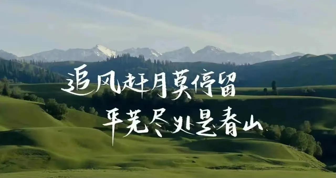 “追风赶月莫停留，平芜尽处是春山”。

给自己端一碗心灵鸡汤，
抚慰宽宥：
我们