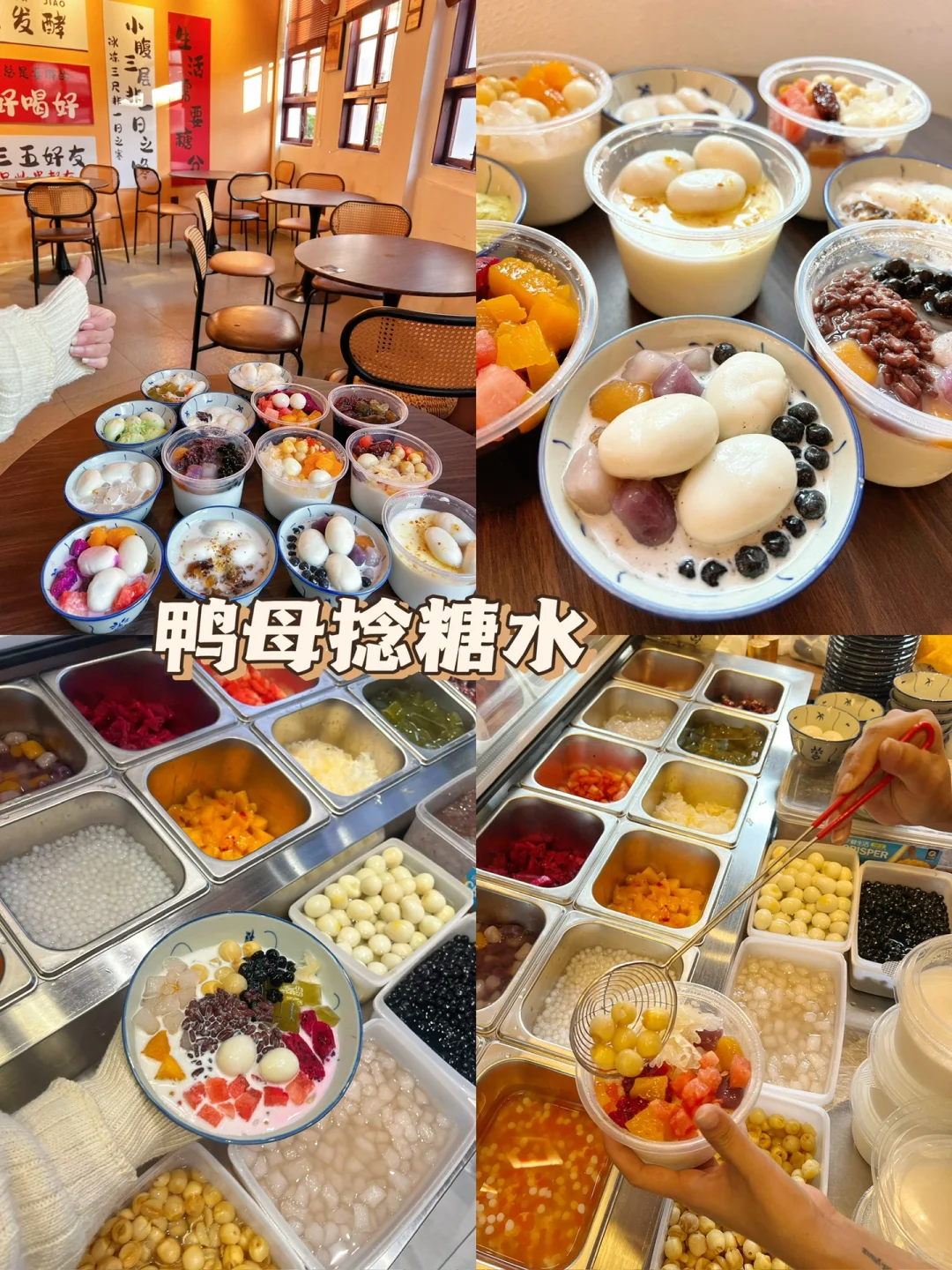 江东菊花拍照真的太好看啦