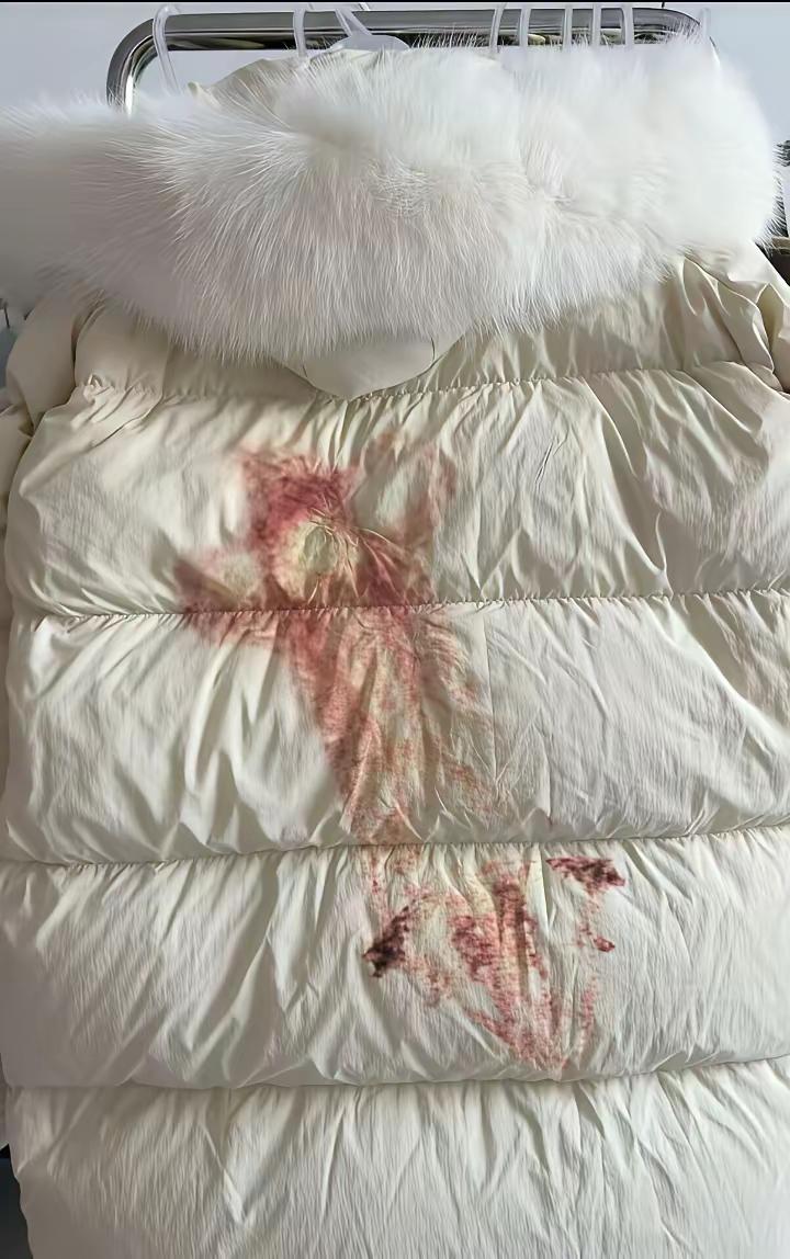 令人头疼不已！去年我斥资千元购置的羽绒服，如今竟遭遇了意外——不知被何物在衣柜中