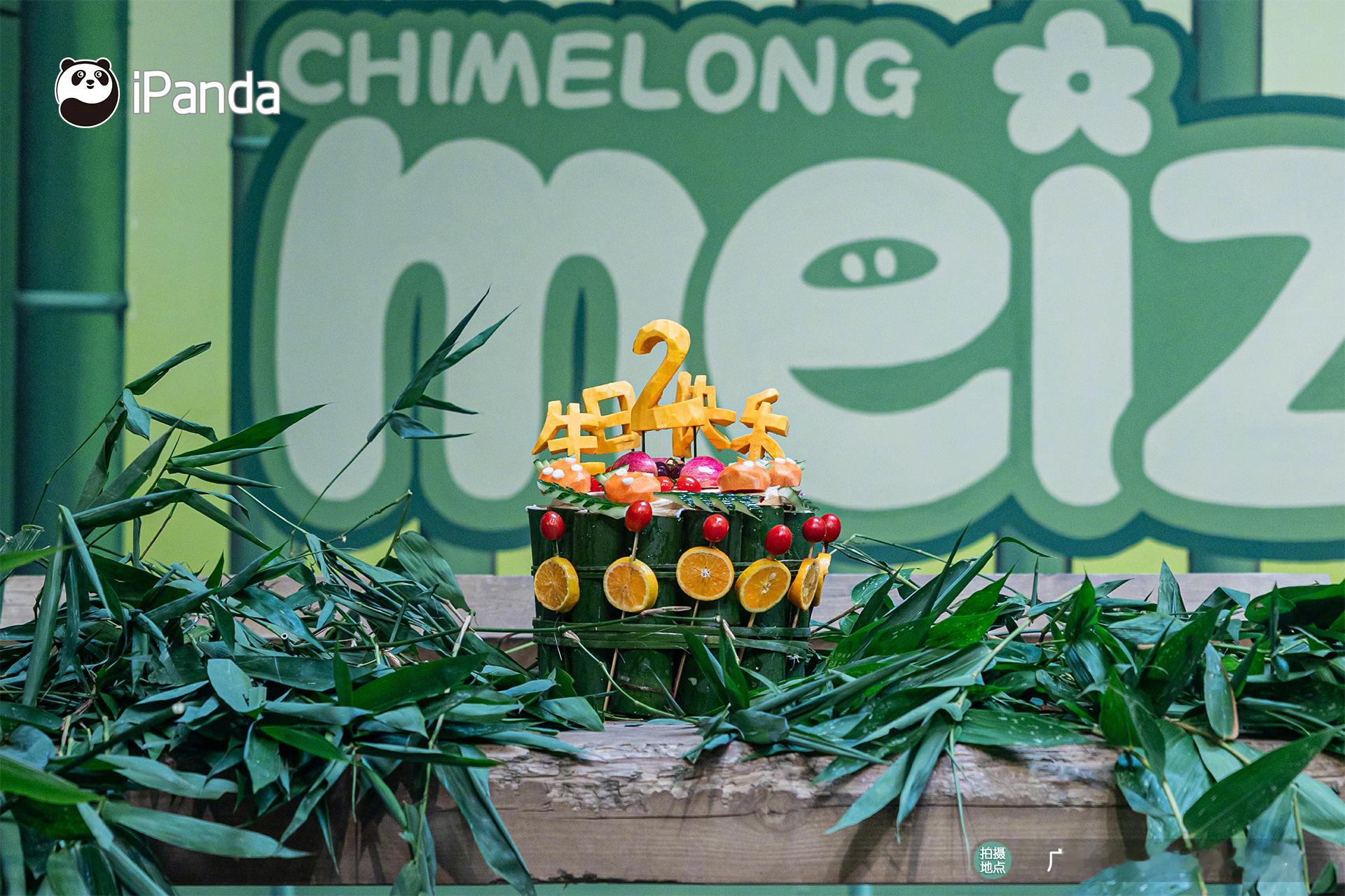 【生日快乐🎂大熊猫妹猪2岁啦】今天，大熊猫妹珠 2岁啦～点击图片，一起参加“妹