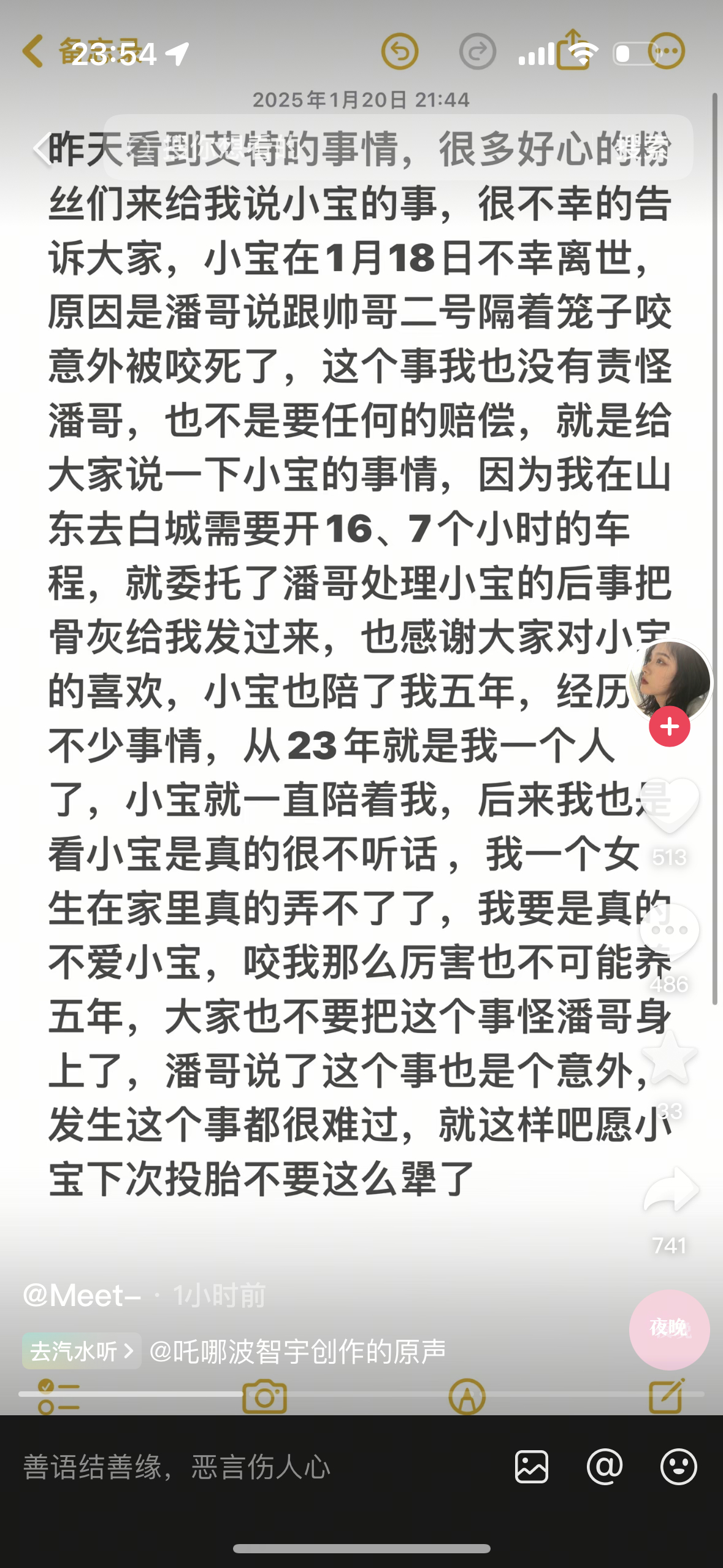 网红小狗小宝去世 其实在艾特去世前一天还有网红小狗小宝去世，小宝主人发声，在1月